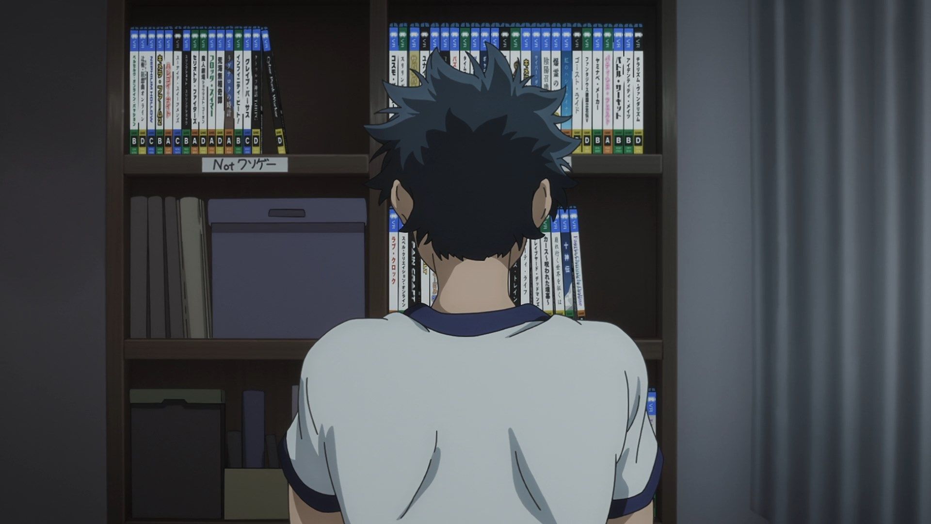 Кордон Шангрі-Ла