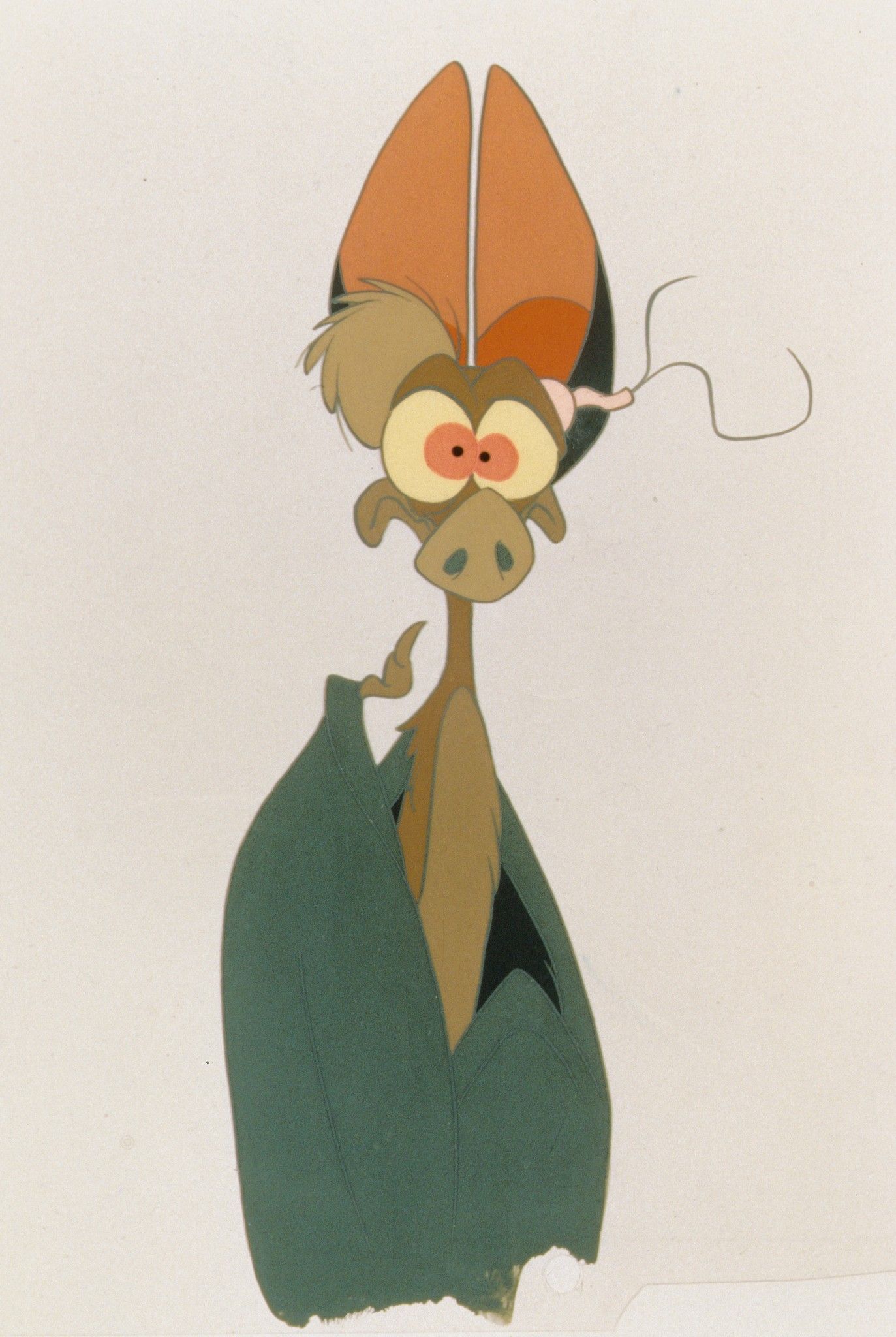 Тропічний ліс: Історія долини папороті