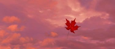 Врятувати Землю