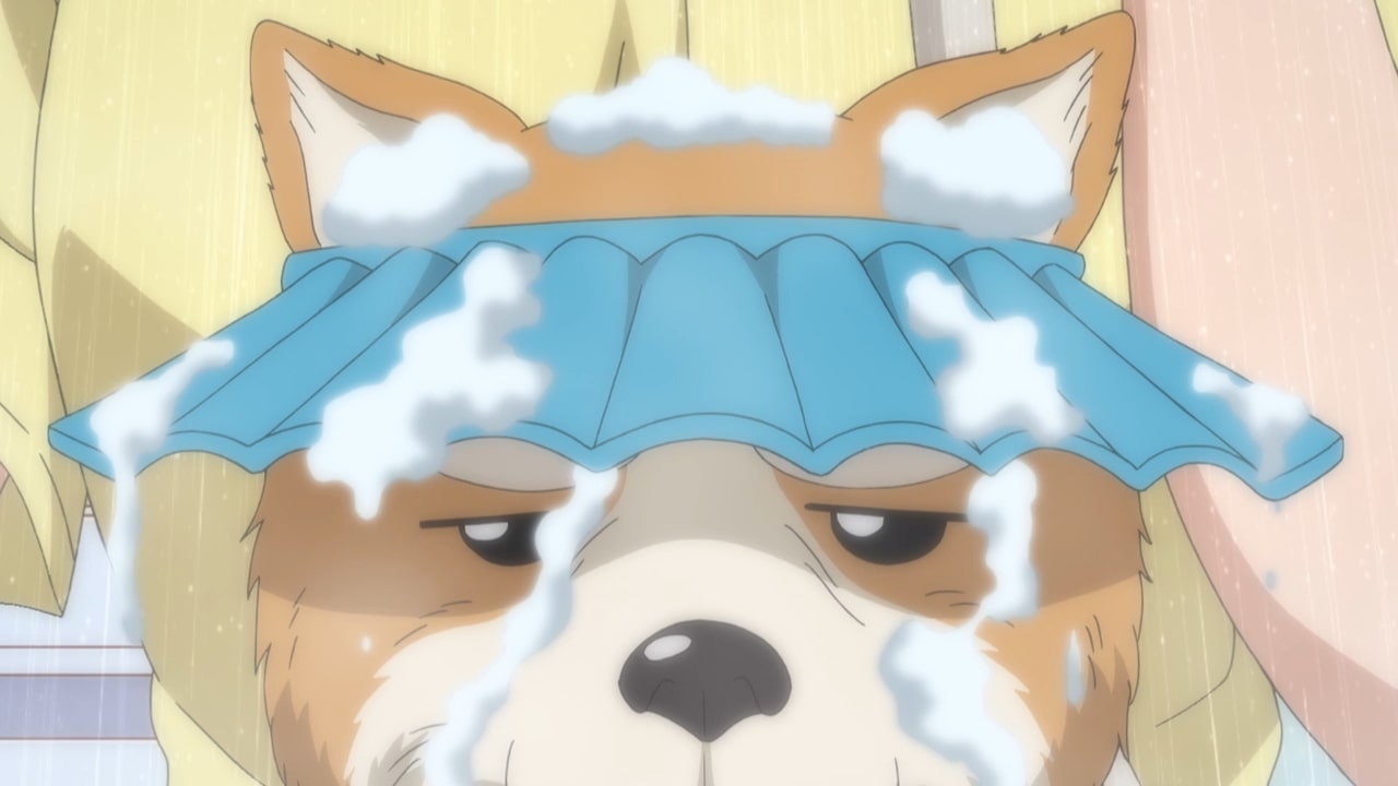 Ода Кориця Нобунаґа