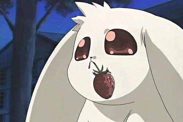 Д.Н. Ангел / ДНК Янгола