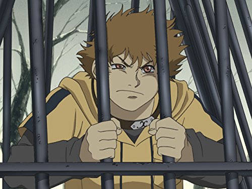 Вовча злива