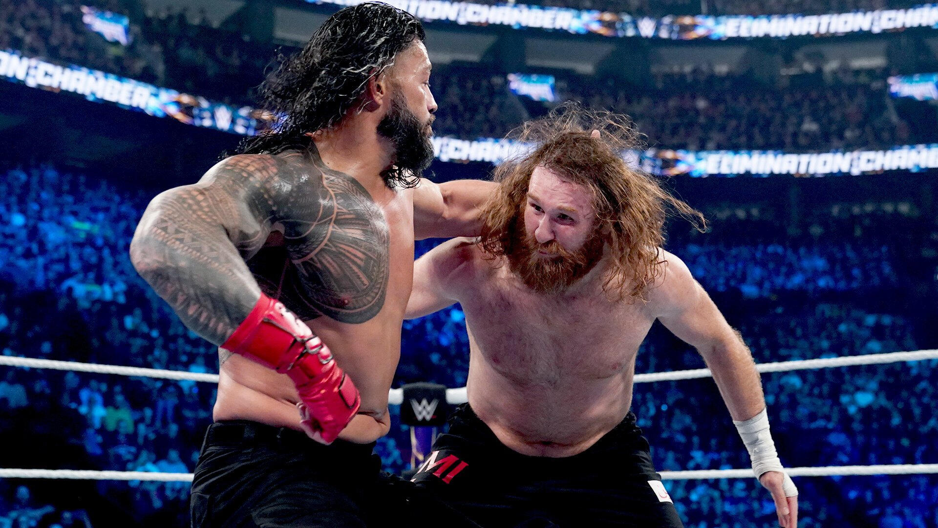 WWE Шарага Знищення