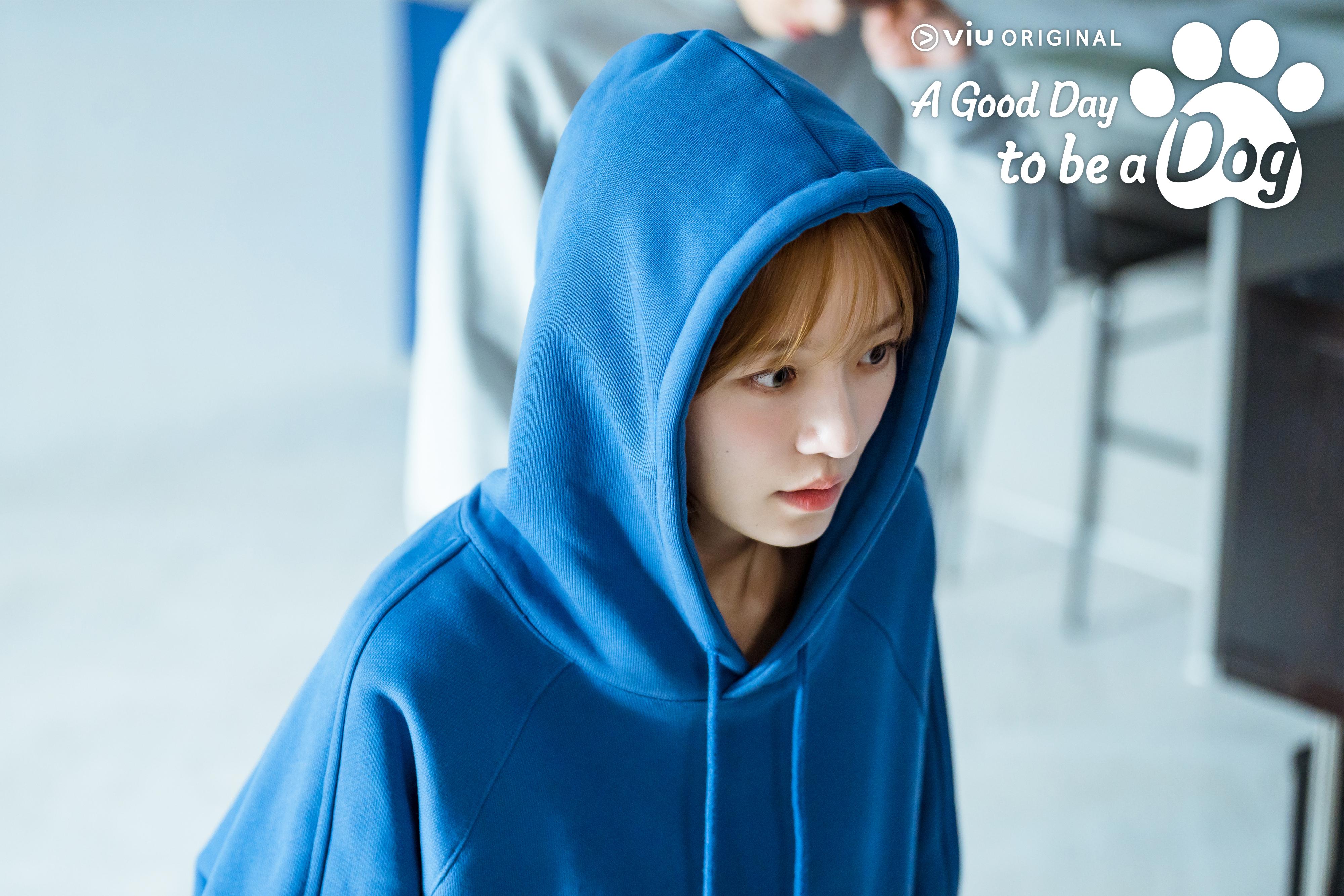 Хороший день, щоб бути собакою