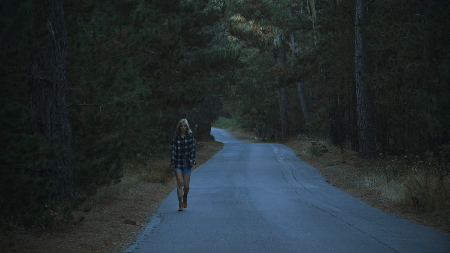 Завжди сяй / Завжди світися