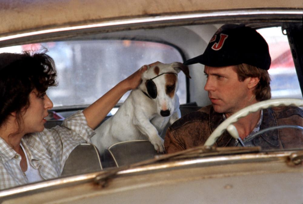 Бездоганна репутація