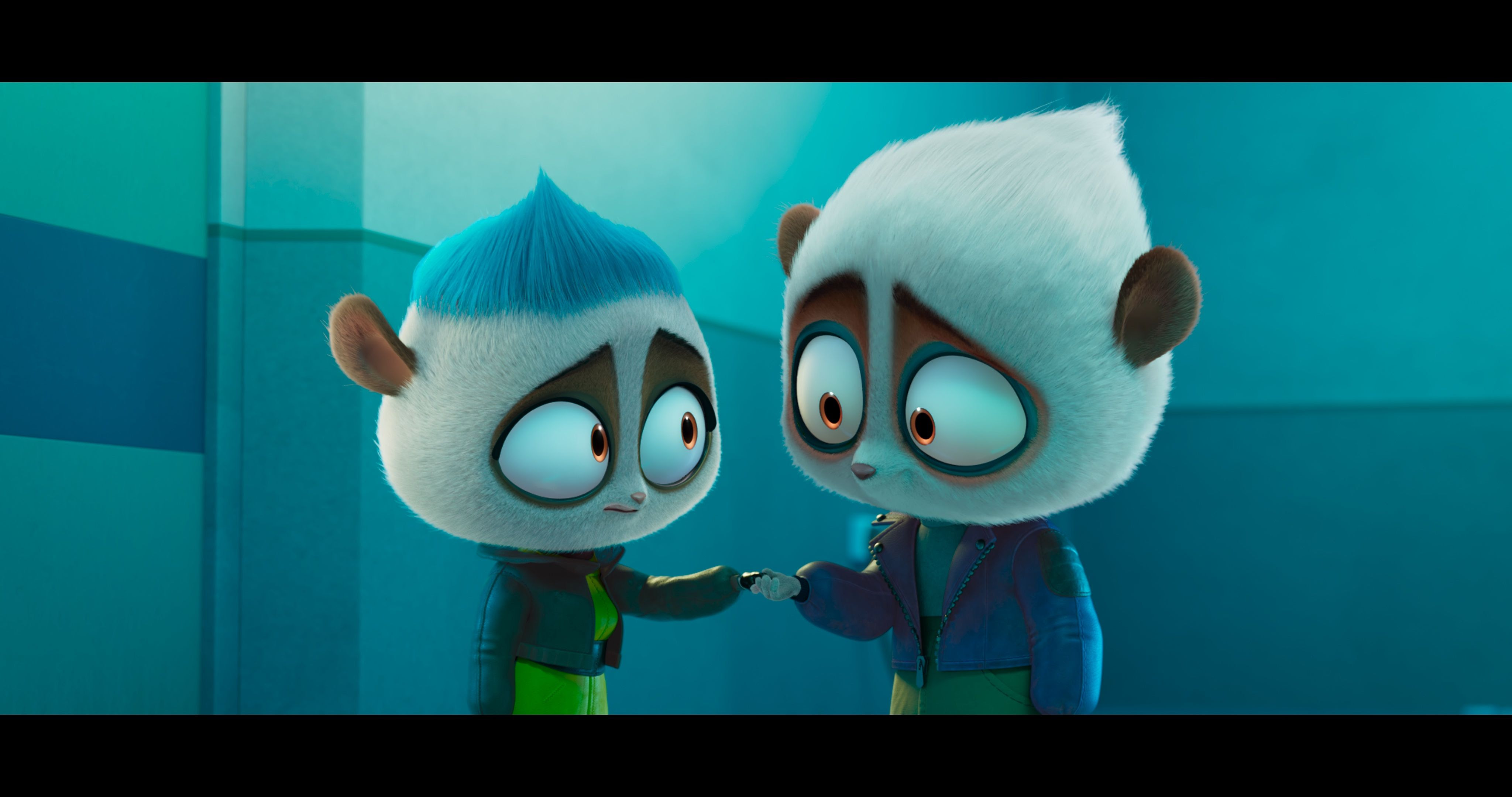 Звіротачки