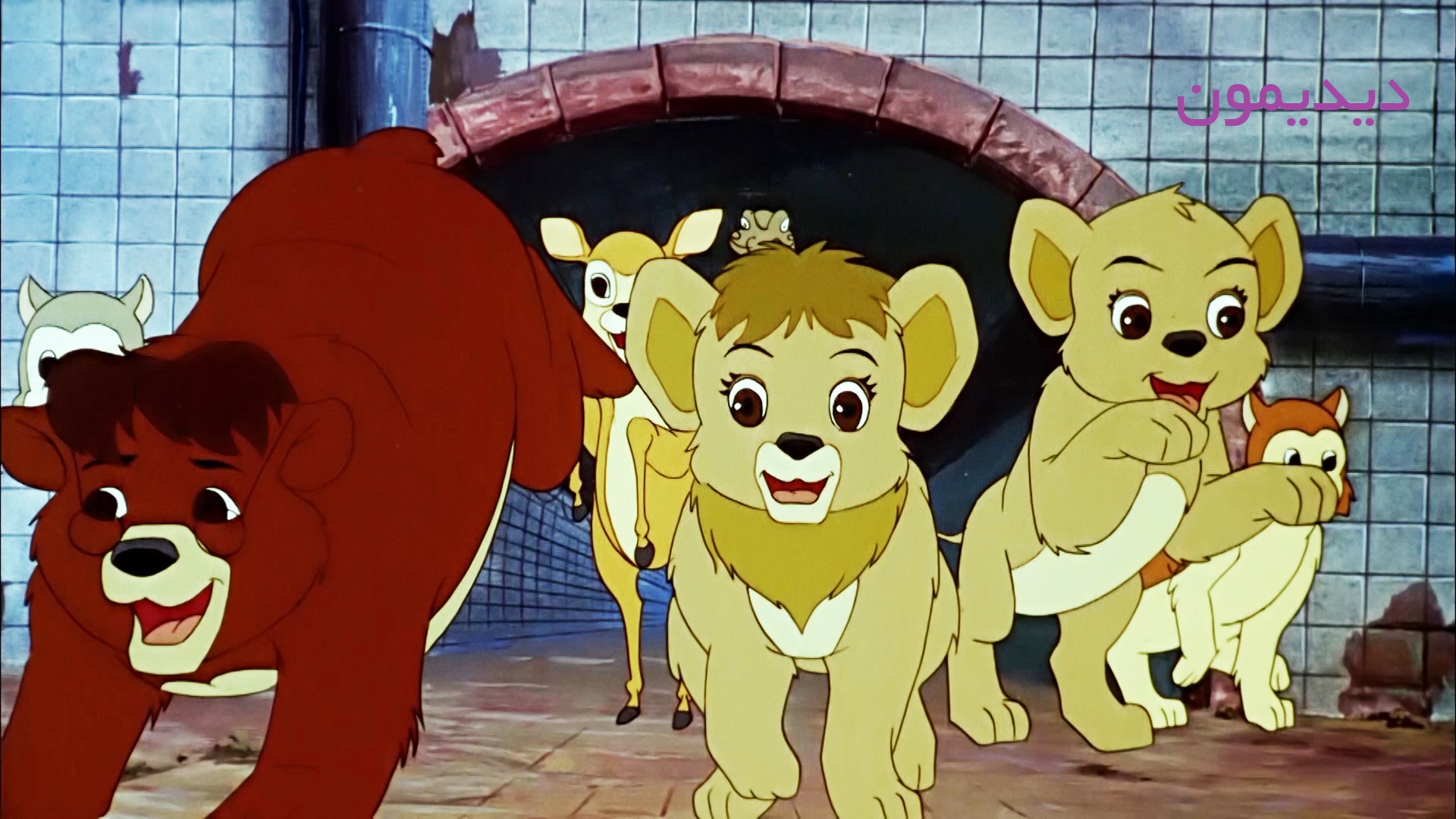 Левеня Сімба в Нью-Йорку