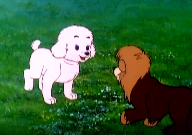 Левеня Сімба в Нью-Йорку