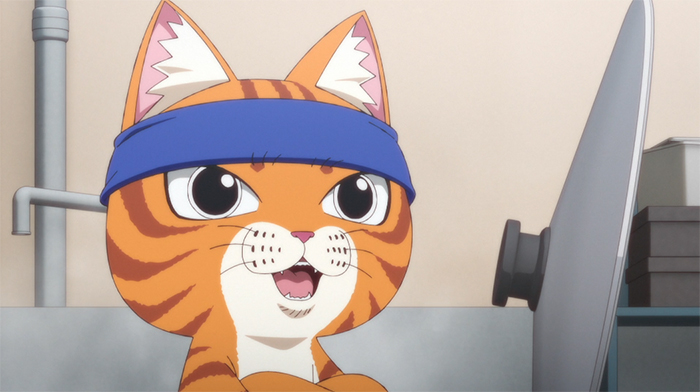 Рамен від Рудого Кота