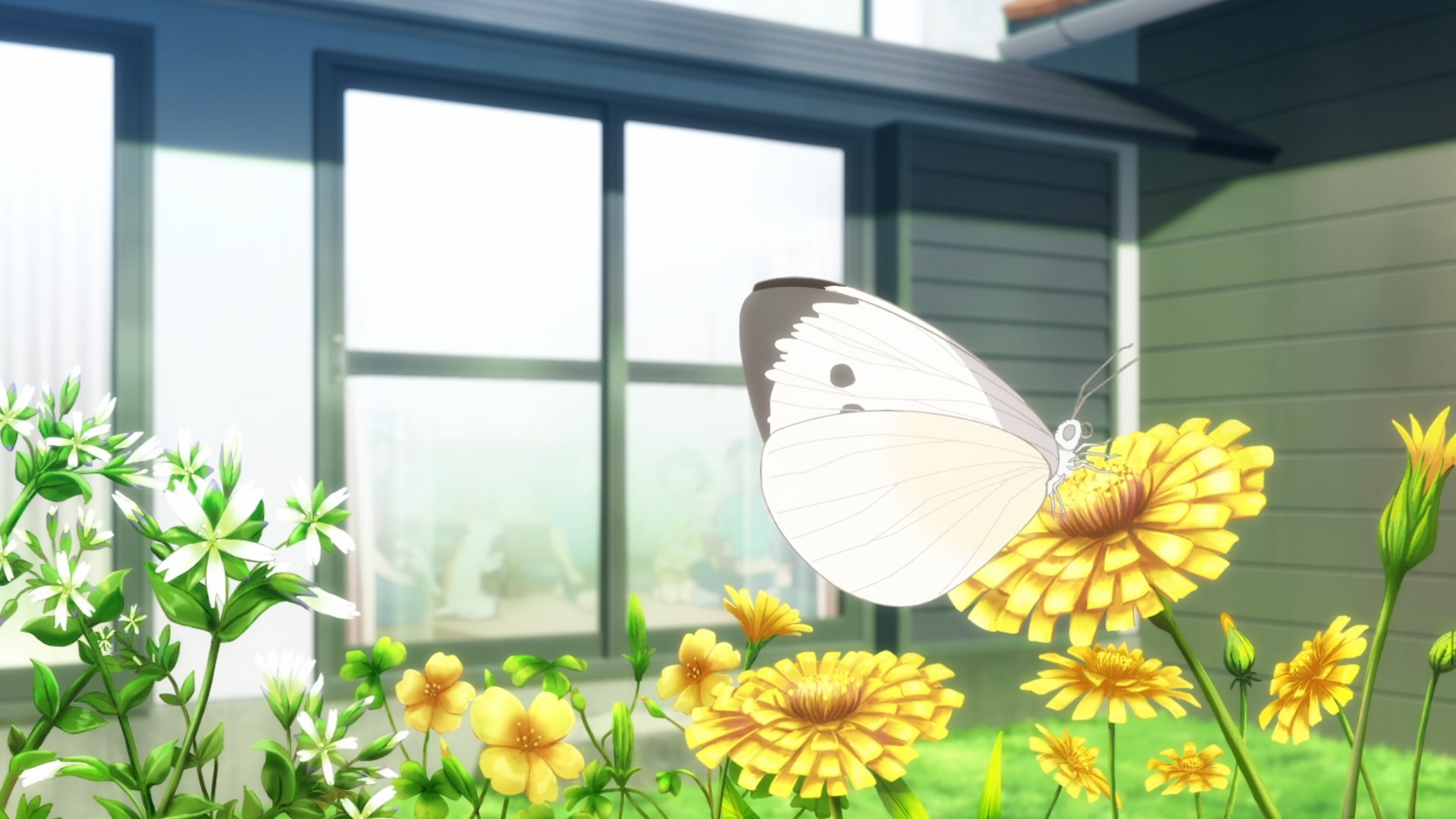 Йокай-сан по сусідству