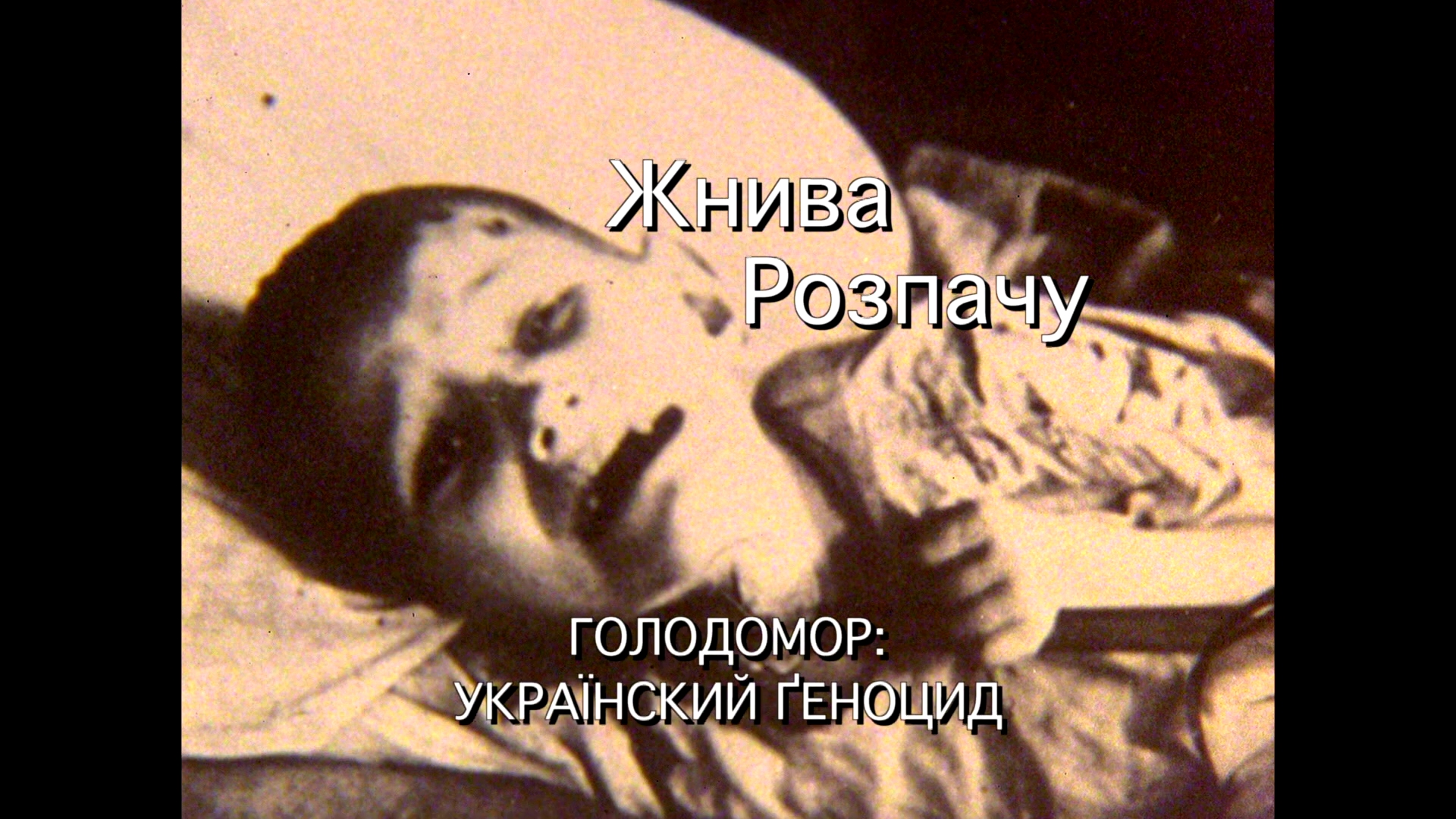 Жнива розпачу