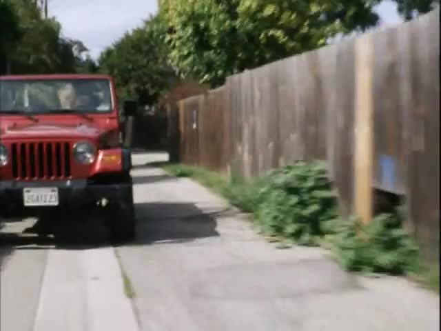 Бродяга