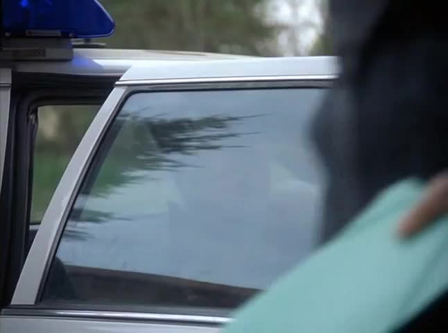 Щури / Пацюки
