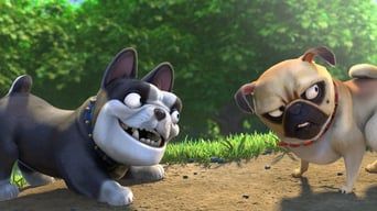 Реальна білка 2