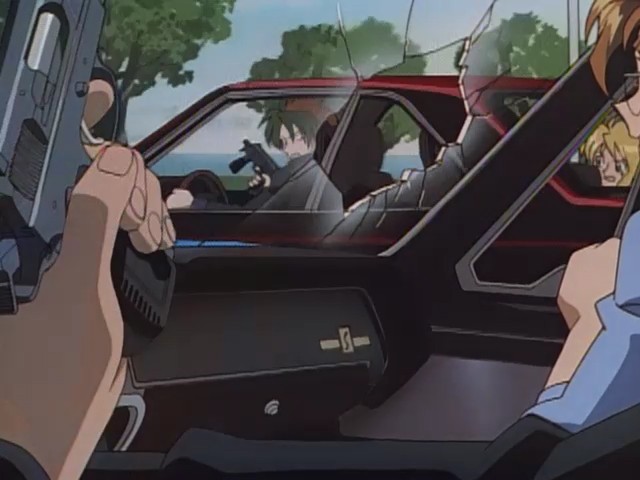 Кішки-зброярки