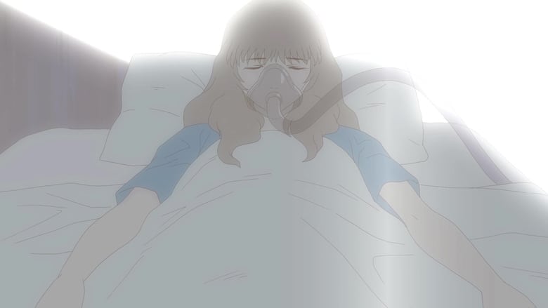 Араньє: Оболонка для комах