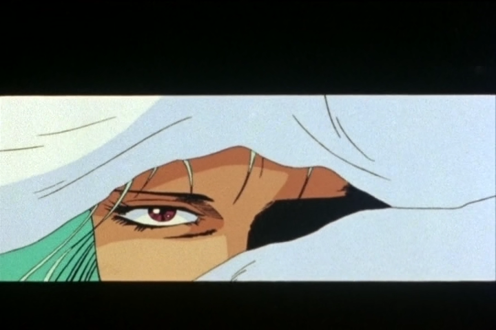 Кулак Північної Зорі