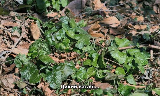 Зла не існує