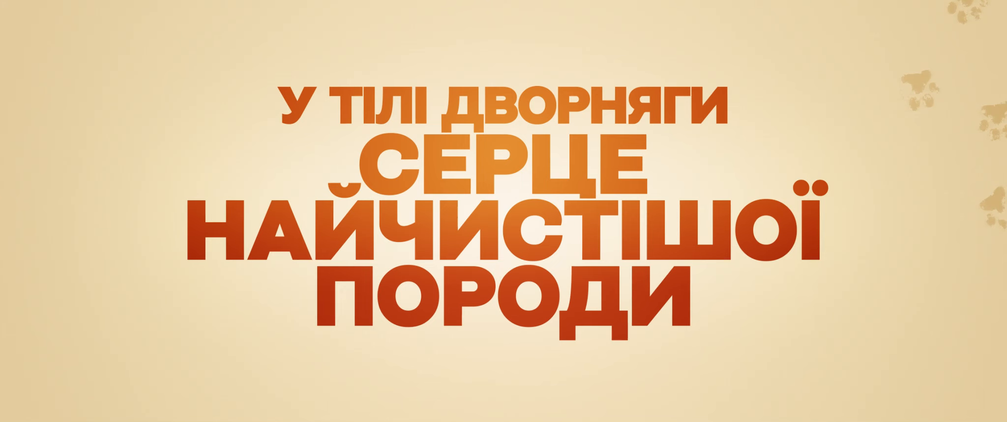Талановитий містер Пес