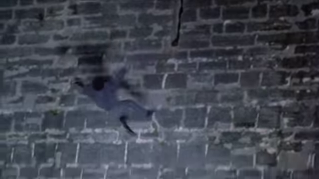 Незаконно твій