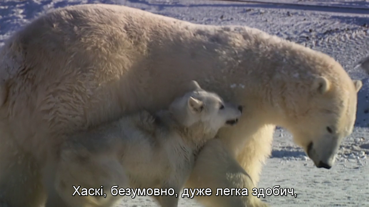 Незвичайні друзі