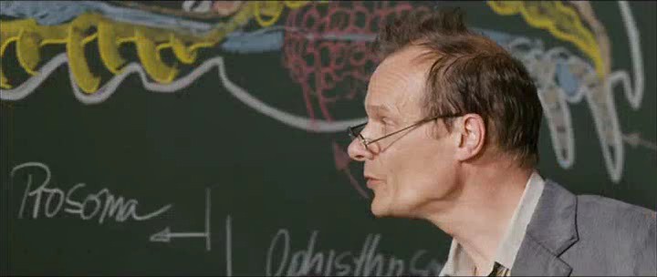 Сон Ліппеля