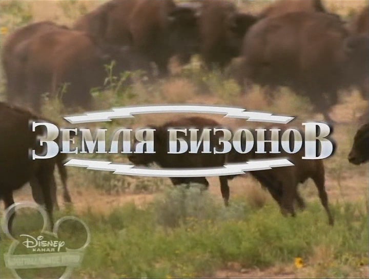 Земля бізонів