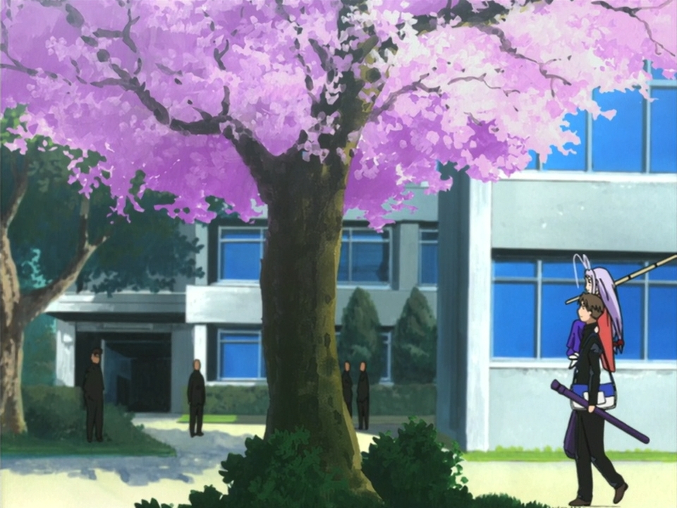 Небо і земля