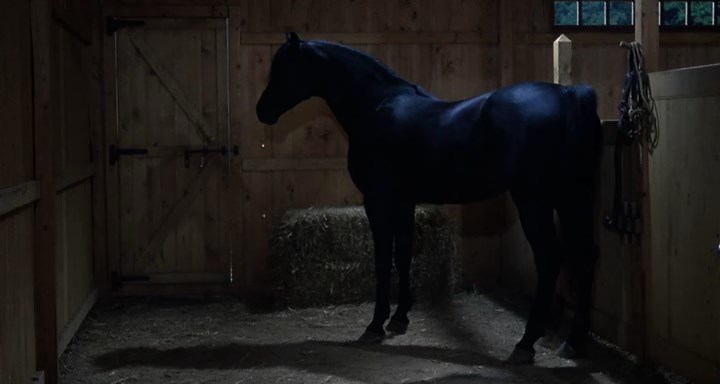 Повернення чорного скакуна