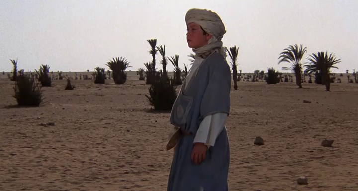 Повернення чорного скакуна