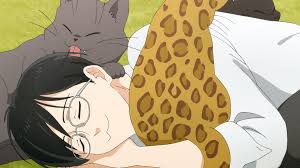 Тамагава хоче стати котом