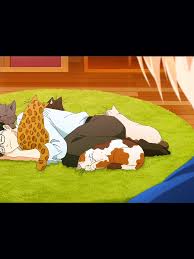 Тамагава хоче стати котом