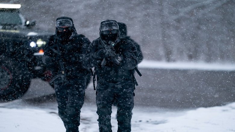Випадкові свідки