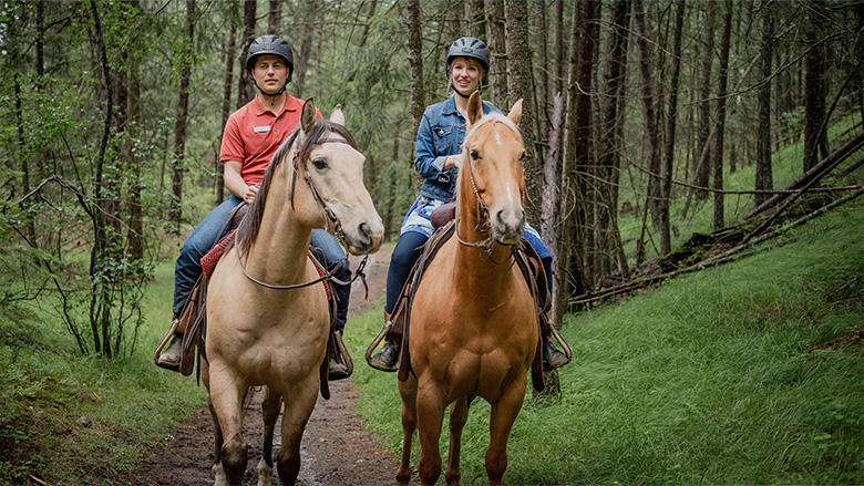 Пригода на медовий місяць / Незвичайний медовий місяць