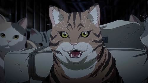 Няуч живих котів