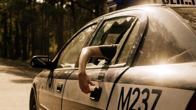 Сьогодні в лісі не до сну 2