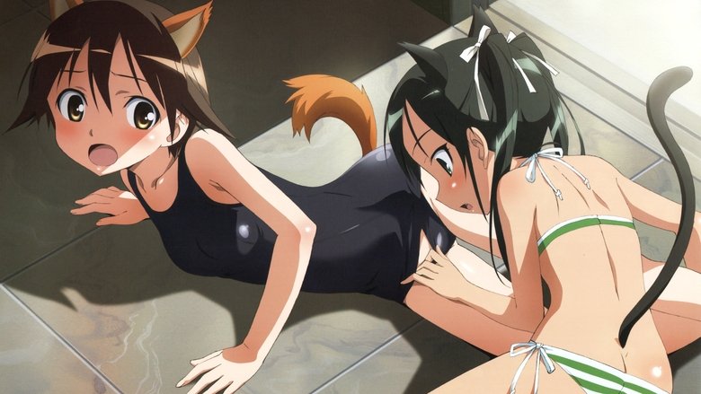 Ударні Відьми