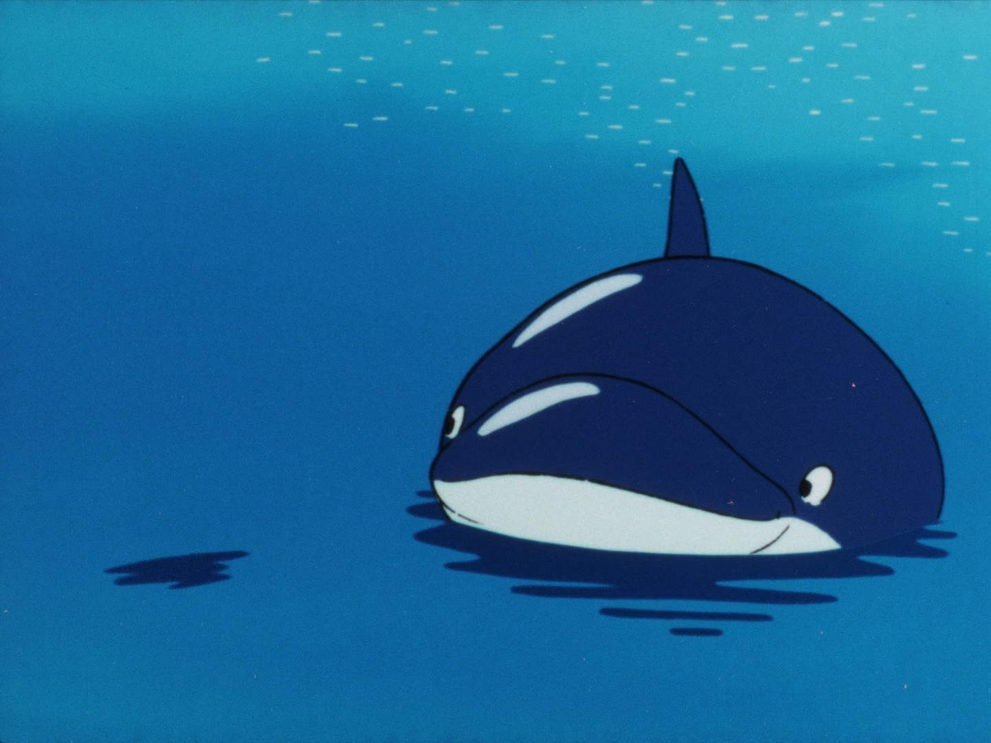 Морський кіт