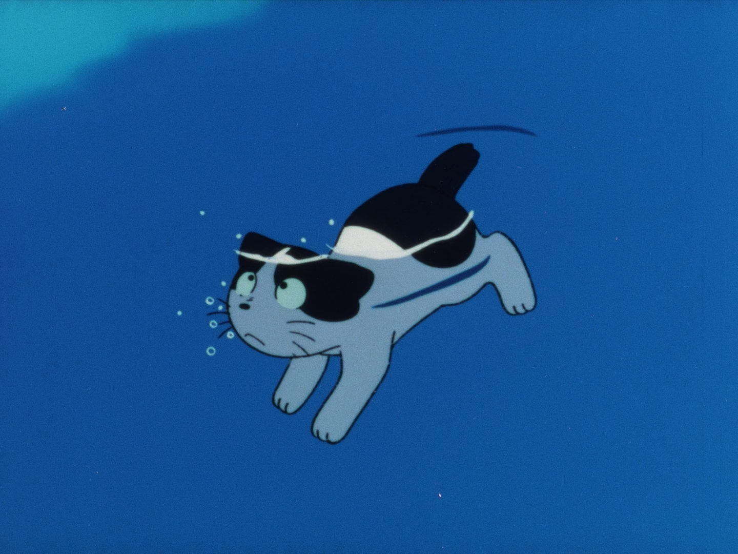 Морський кіт