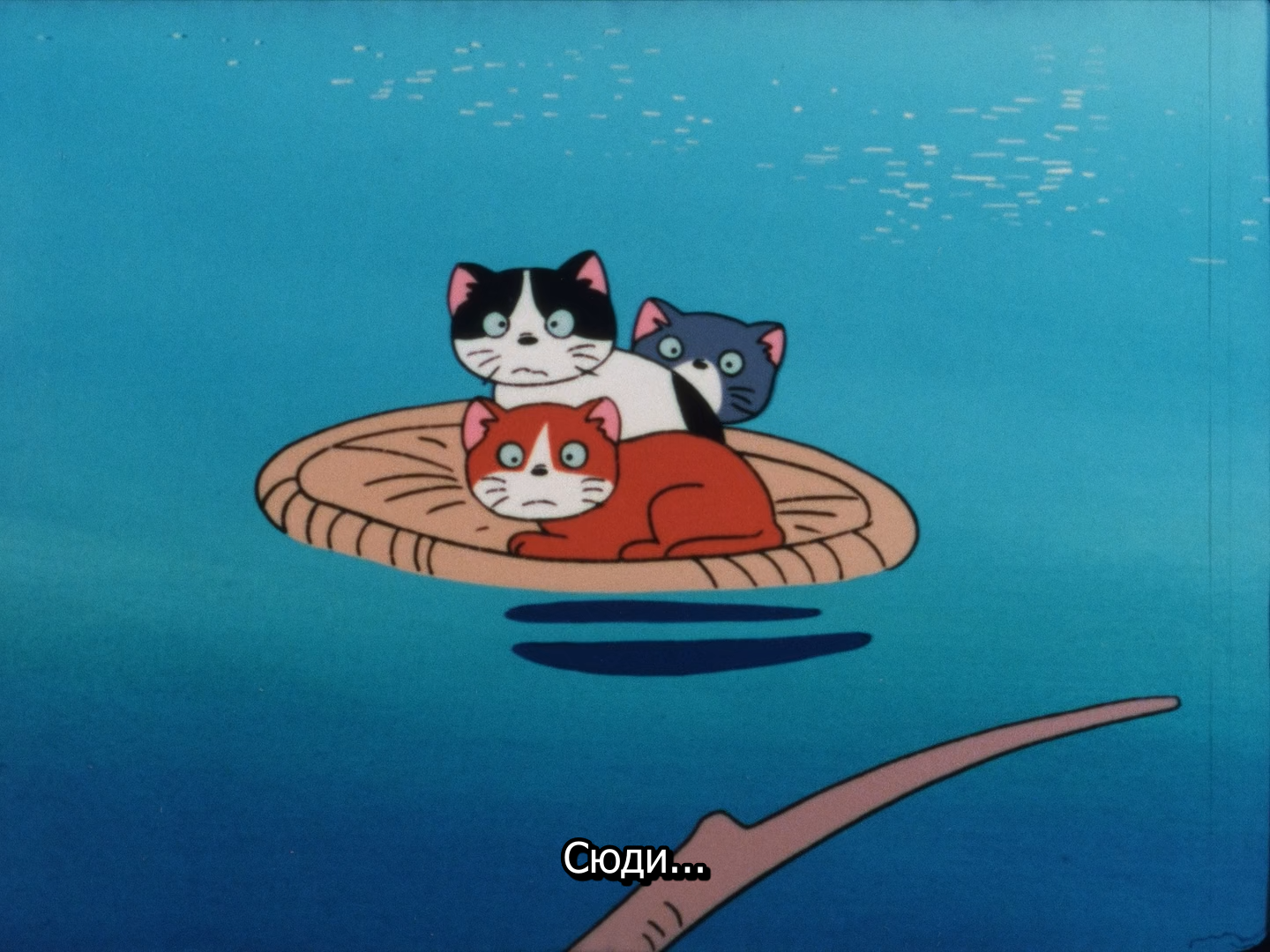 Морський кіт