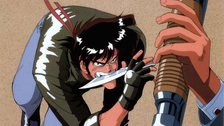 Квасолина Котишлях