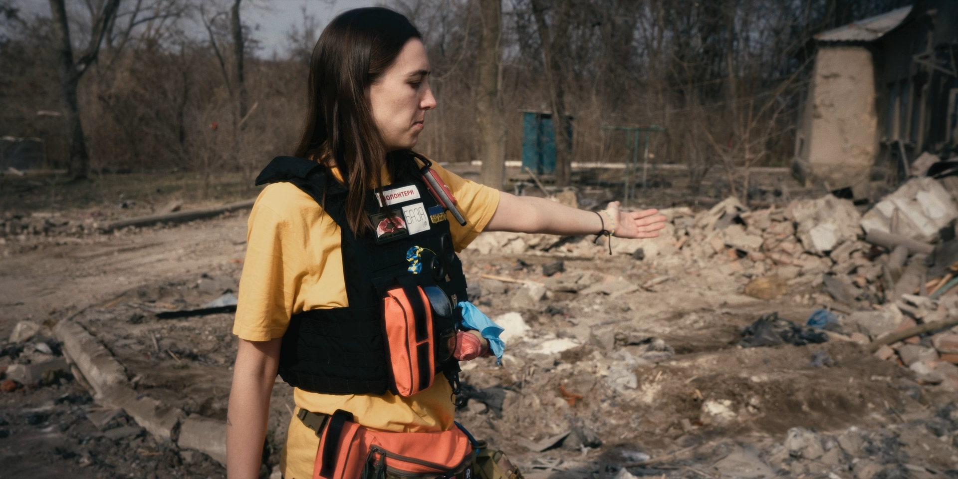 Соняшники під дощем