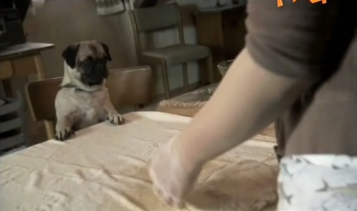 Моллі і Мопс