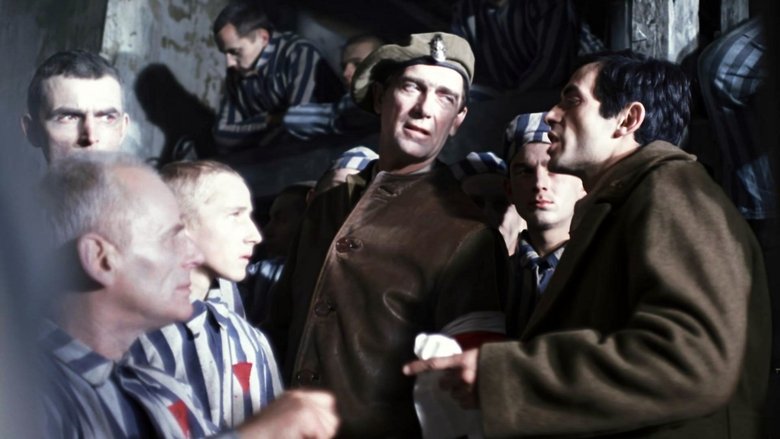 Пейзаж після битви