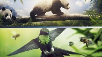 Земля: Один вражаючий день