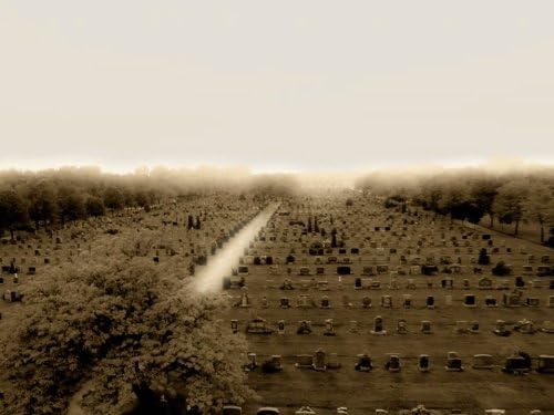 Сміття у великому місті