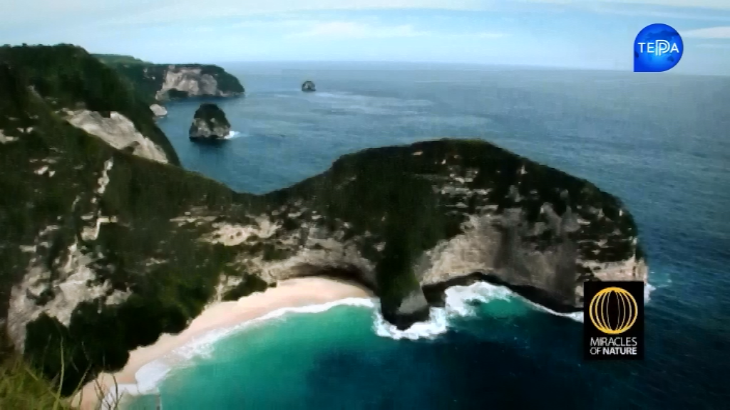 Чудеса природи