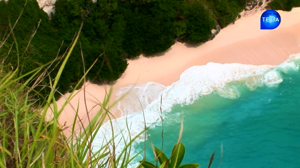 Чудеса природи