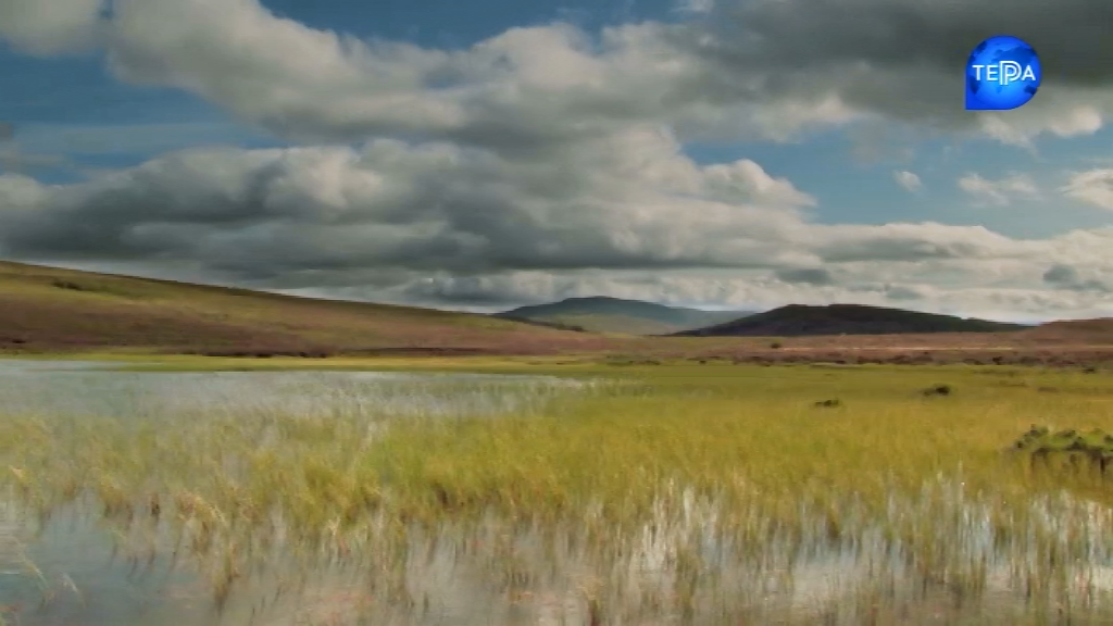 Чудеса природи